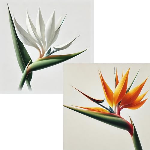 paradise-orange-white
