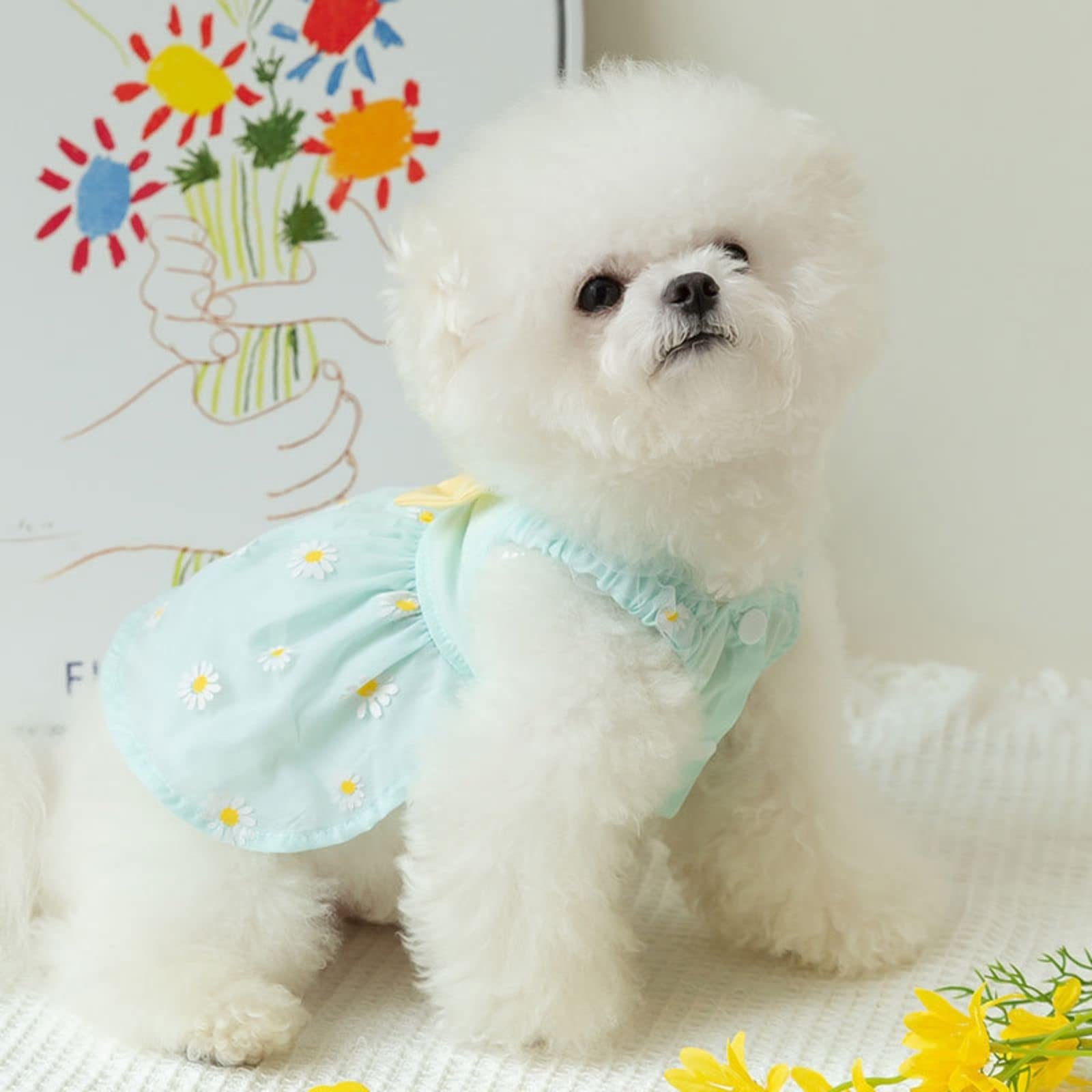 Elegant Princess Small Dog Dress for Spring & Summer - Lightweight Pet Dresses for Puppies & Girls | Perfect for Outdoor Walks, Pet Parties & Photo Shoots