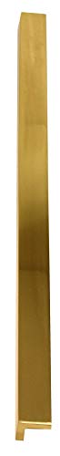 Unlacquered Brass