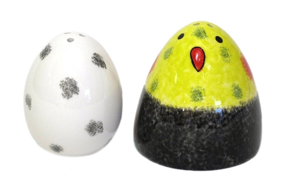 Iwgac Decorative Salt and Pepper Shaker Set - Cute Bird with Egg Design for Kitchen, Dining Table, and Home Decor | Perfect Gift for Housewarming, Wedding, and Collectors