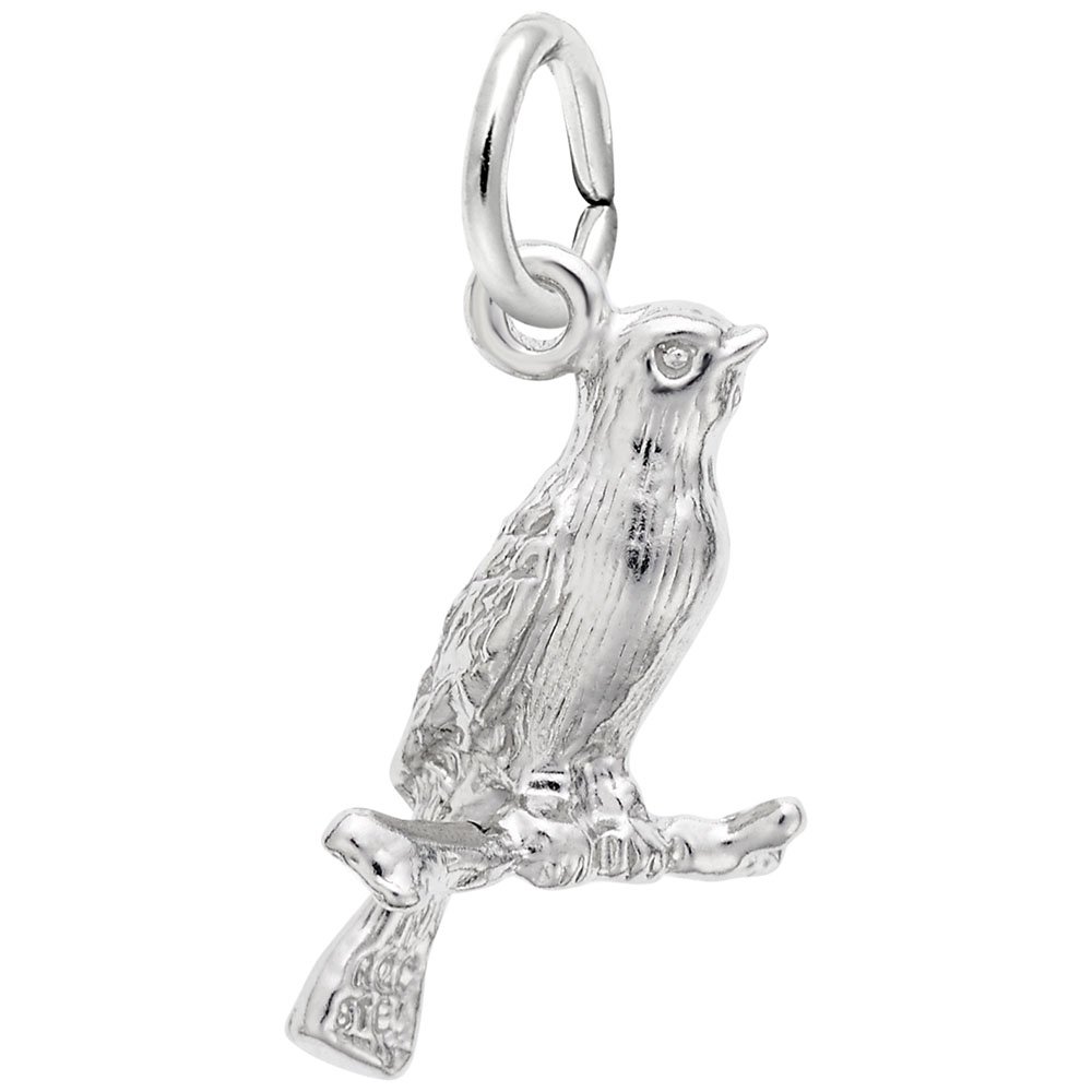 Canary Charm - Elegant Gold & Silver Charms for Bracelets & Necklaces | Perfect for DIY Jewelry, Gifts & Fashion Accessories