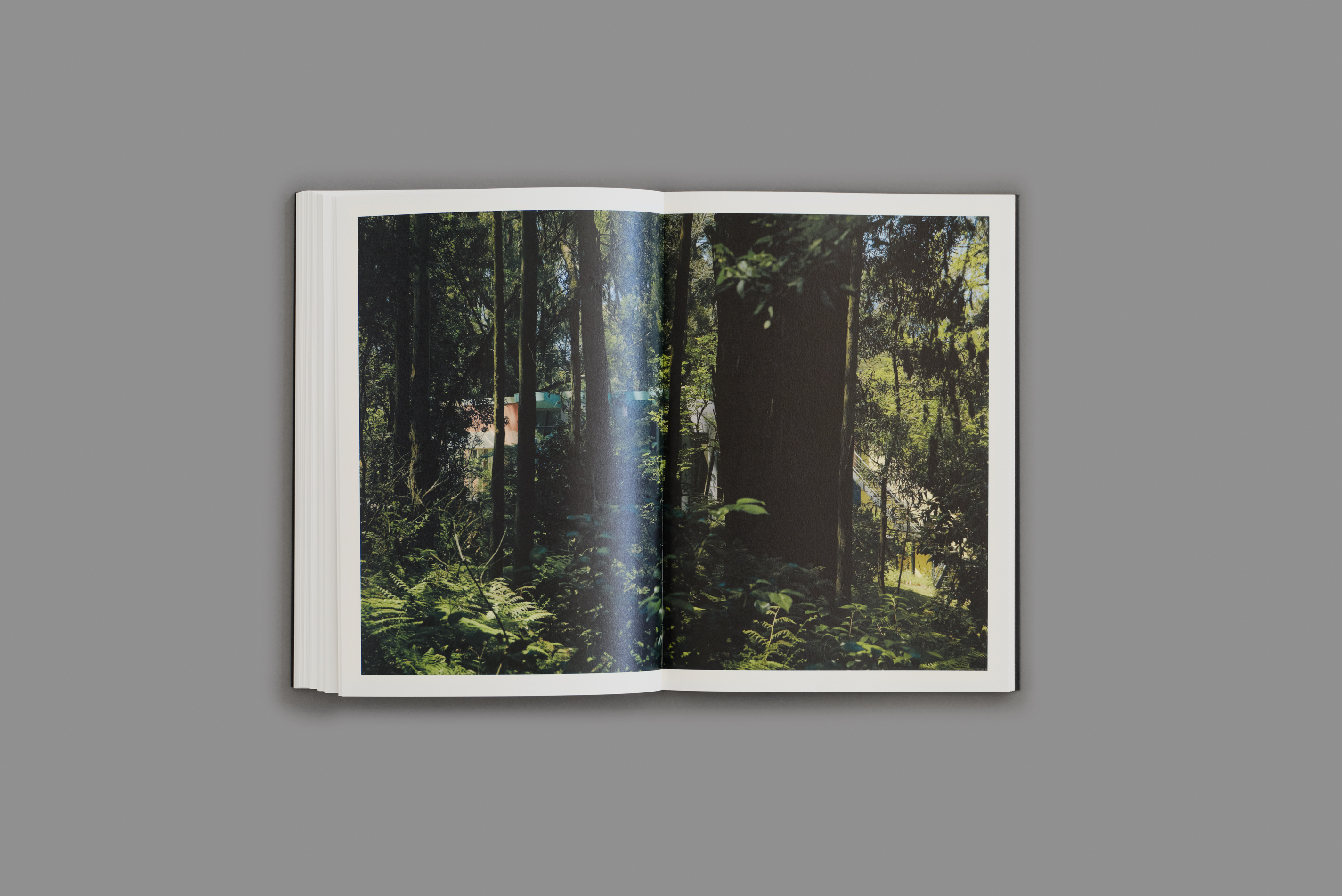 Among Buildings (Second Edition) - Modern Architecture Book for Designers & Urban Planners | Perfect for Home Decor & Office Inspiration