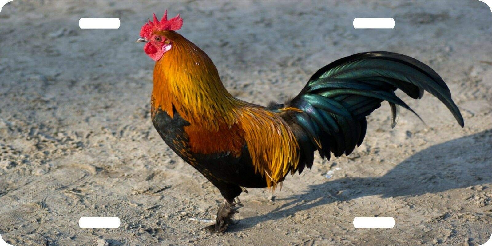 Vintage Fighting Rooster Game Bird License Plate - Rustic Chicken Farm Decor for Cars, Trucks & Home | Perfect for Country Style, Man Cave & Farmhouse Decor