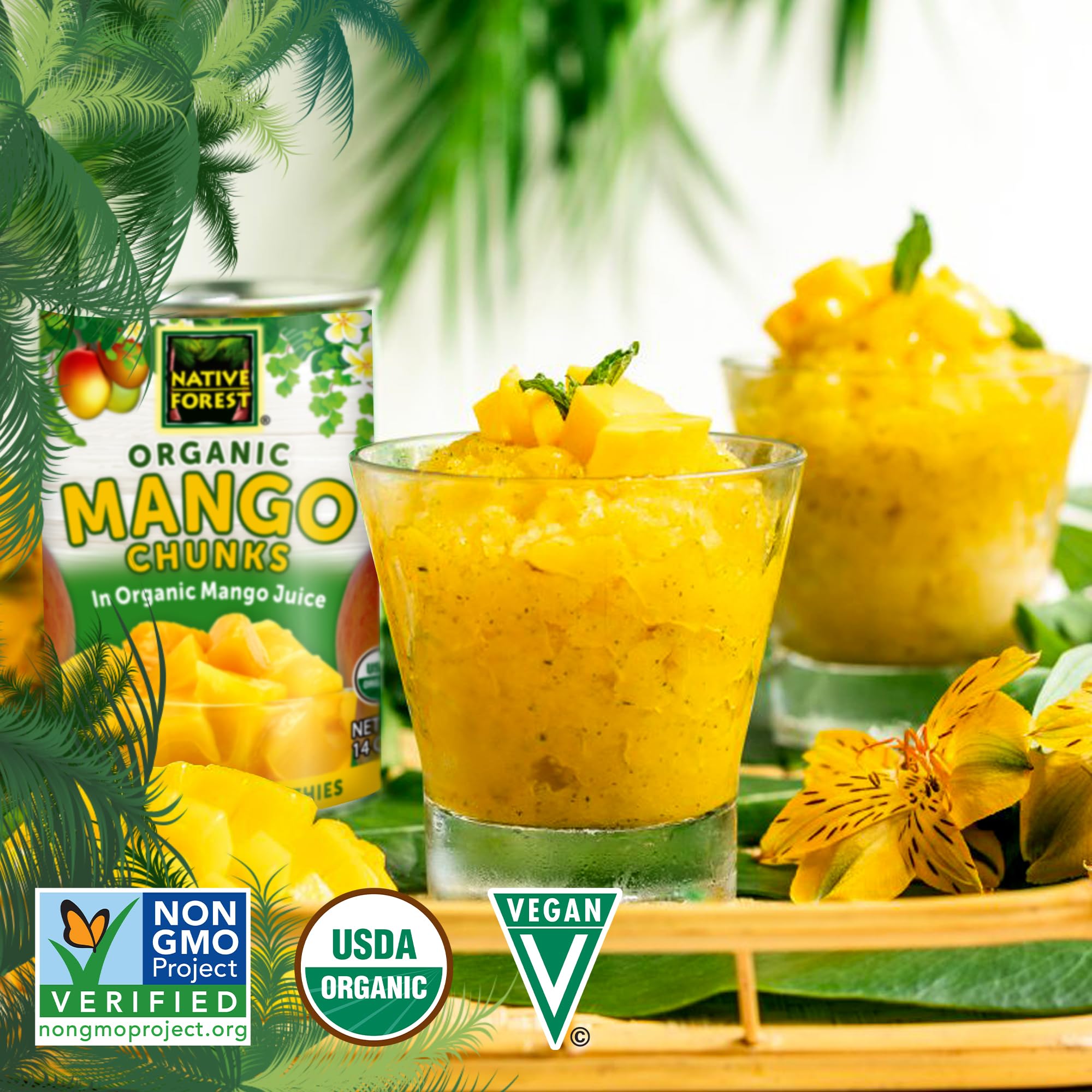Organic Mango Chunks in Light Syrup - No Sugar Added, Non-GMO, Gluten-Free Canned Fruit - 14oz (Pack of 6) - Perfect for Smoothies, Desserts, Yogurt Toppings & Healthy Snacks