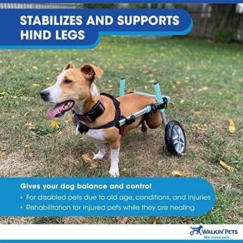 Dachshund Wheelchair for Small Dogs 2-30+ lbs - Vet Approved Rear Leg Support - Adjustable Dog Wheelchair for Mobility & Rehabilitation - Perfect for IVDD, Arthritis & Post-Surgery Recovery