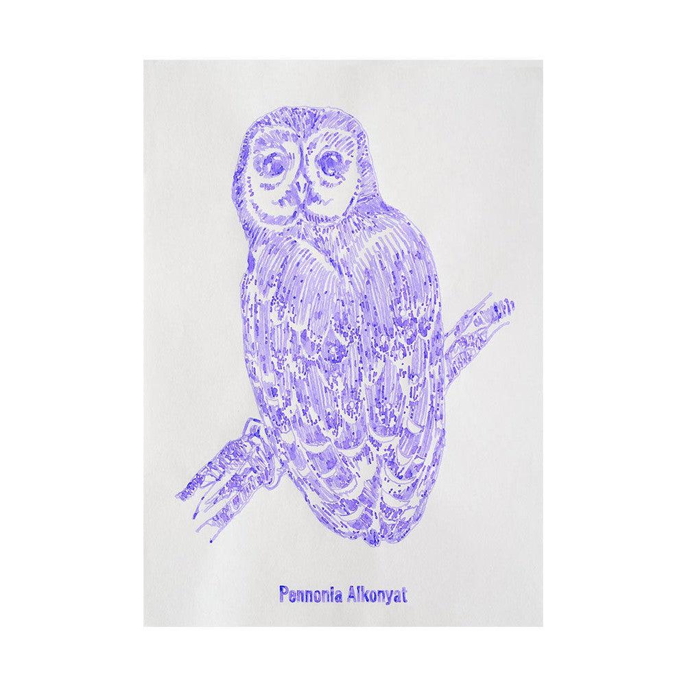 Pennonia Alkonyat (Twilight) Fountain Pen Ink Bottle - 60ml Premium Writing Ink for Calligraphy, Journaling & Artistic Use - Perfect for Fountain Pens, Dip Pens & Creative Projects