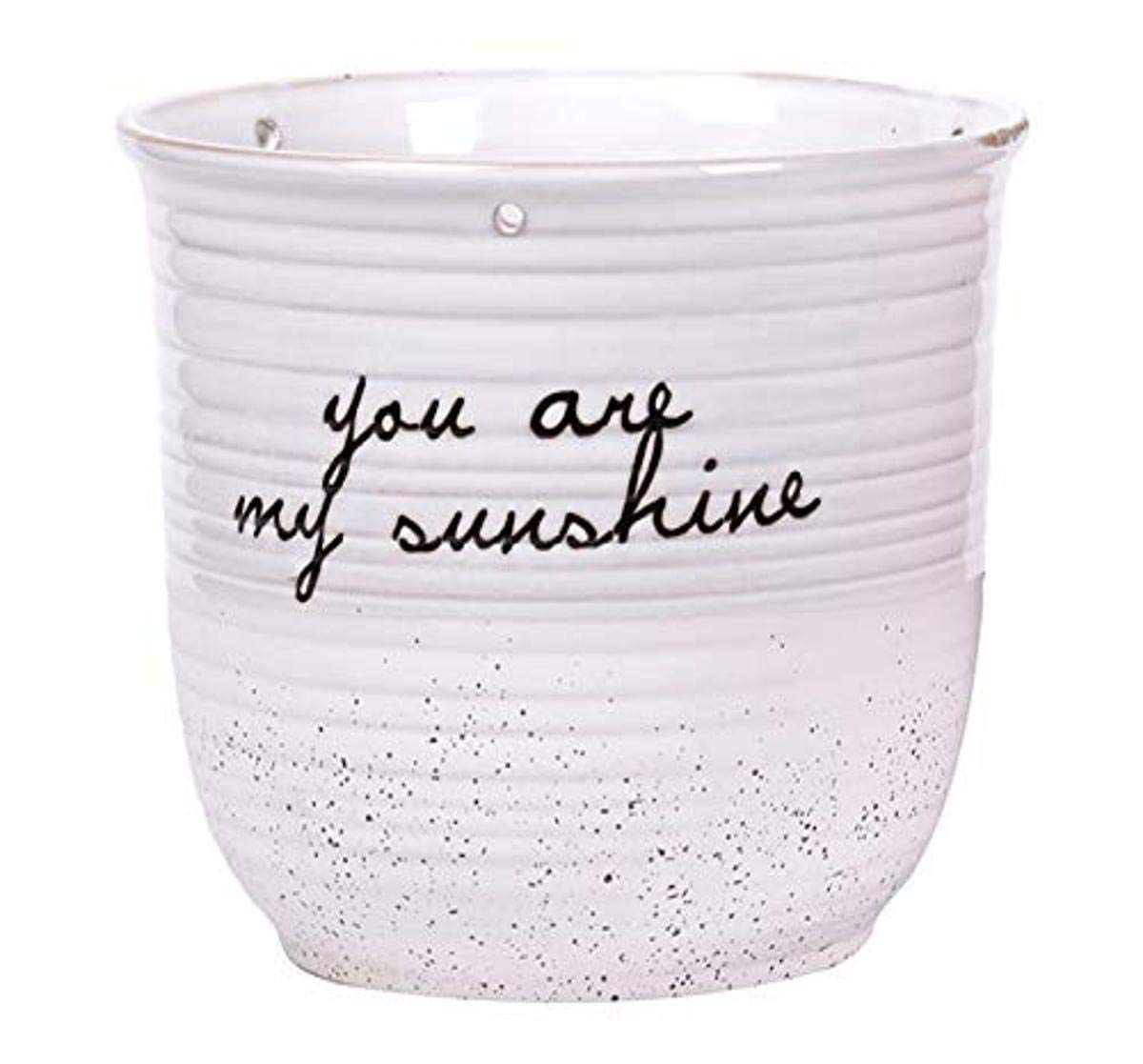 Blue Sky Ceramic Patricia 6.5 Inch Flower Pot - Vibrant Multi-Color Planter for Indoor & Outdoor Plants - Perfect for Home Decor, Garden, Balcony, and Office Spaces