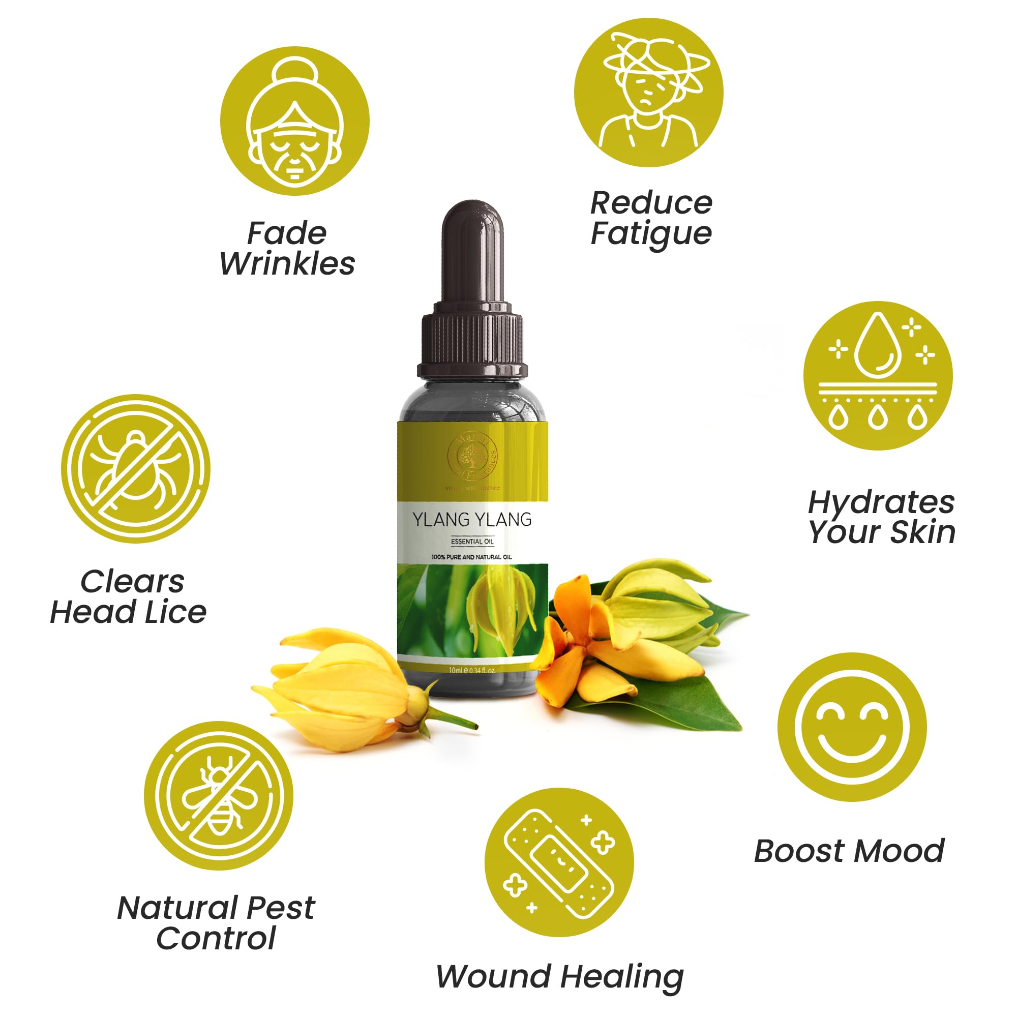 **MARUTI 100% Pure Ylang Ylang Essential Oil (10ml) - Undiluted, Therapeutic Grade for Aromatherapy, Pain Relief, Skin & Hair Care - Use in Diffusers, Massage, Steam Inhalation & DIY Beauty**