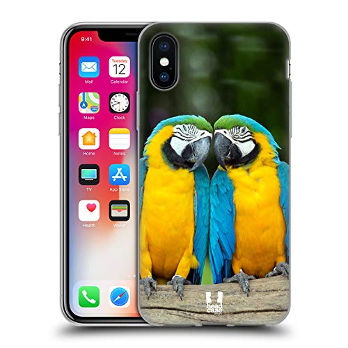 Colourful Macaw Parrot Couple