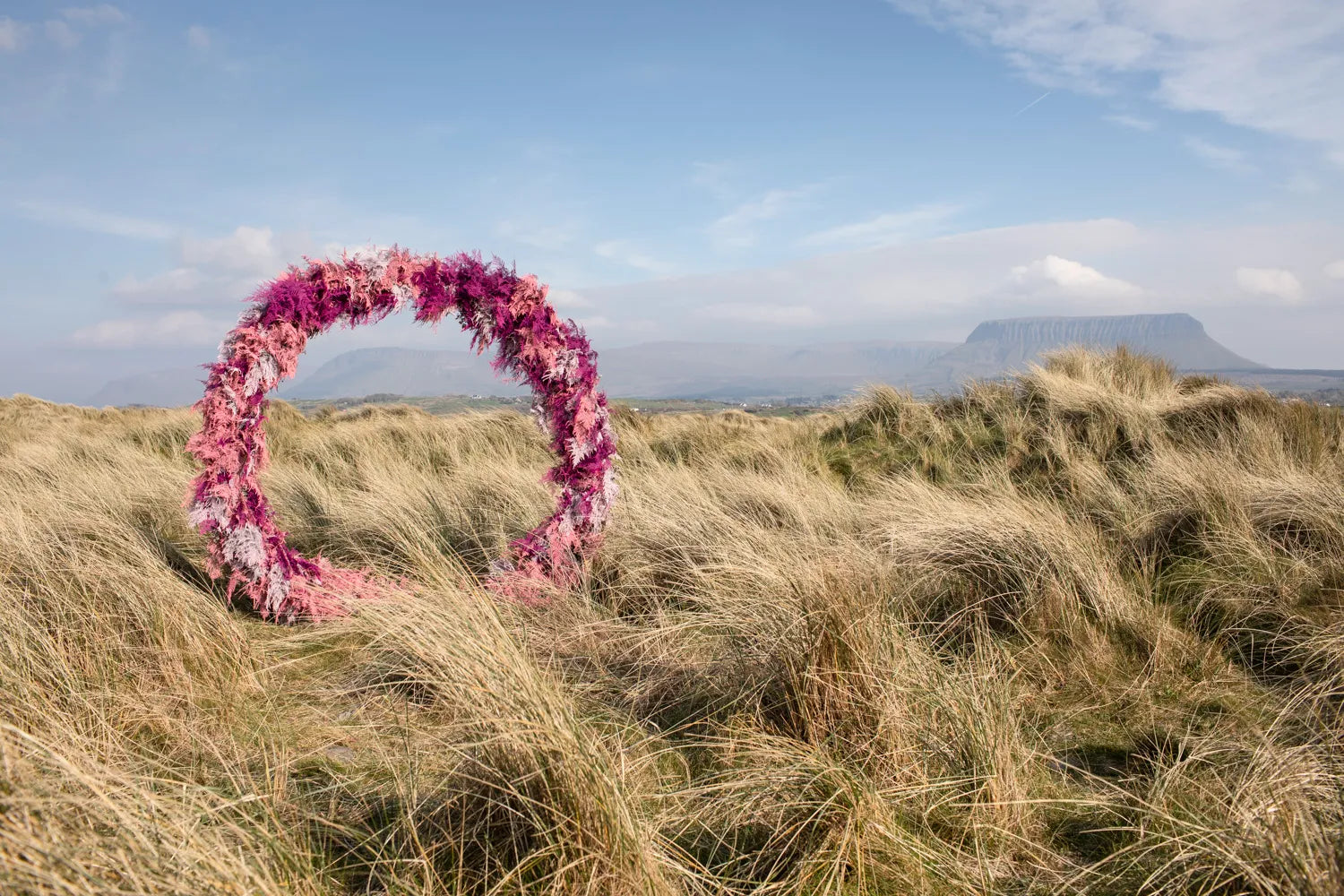 Bláthanna: Irish Spaces in Flower by Ruth Monahan, Kasia Skopińska & Ultan Devaney - Beautiful Floral Photography Book for Home Decor & Irish Culture Enthusiasts