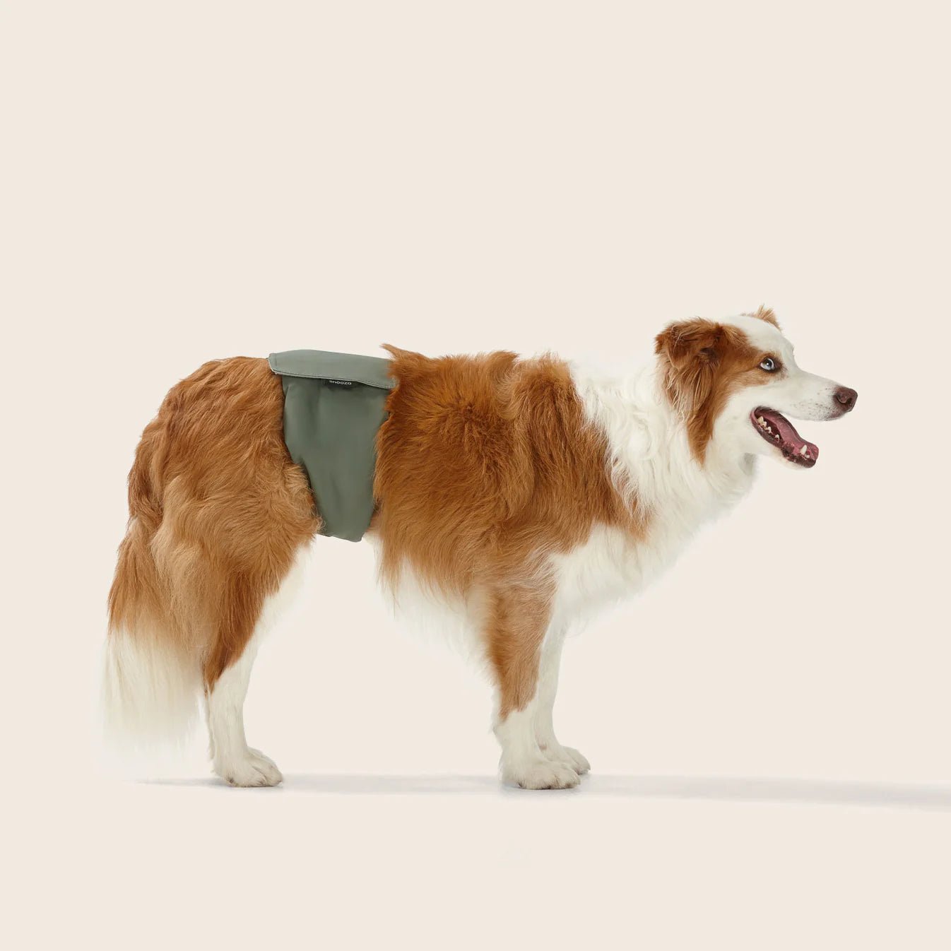 Washable Male Dog Diaper Band - Reusable Twin Pack for Incontinence & Training | Perfect for Travel, Home & Outdoor Use