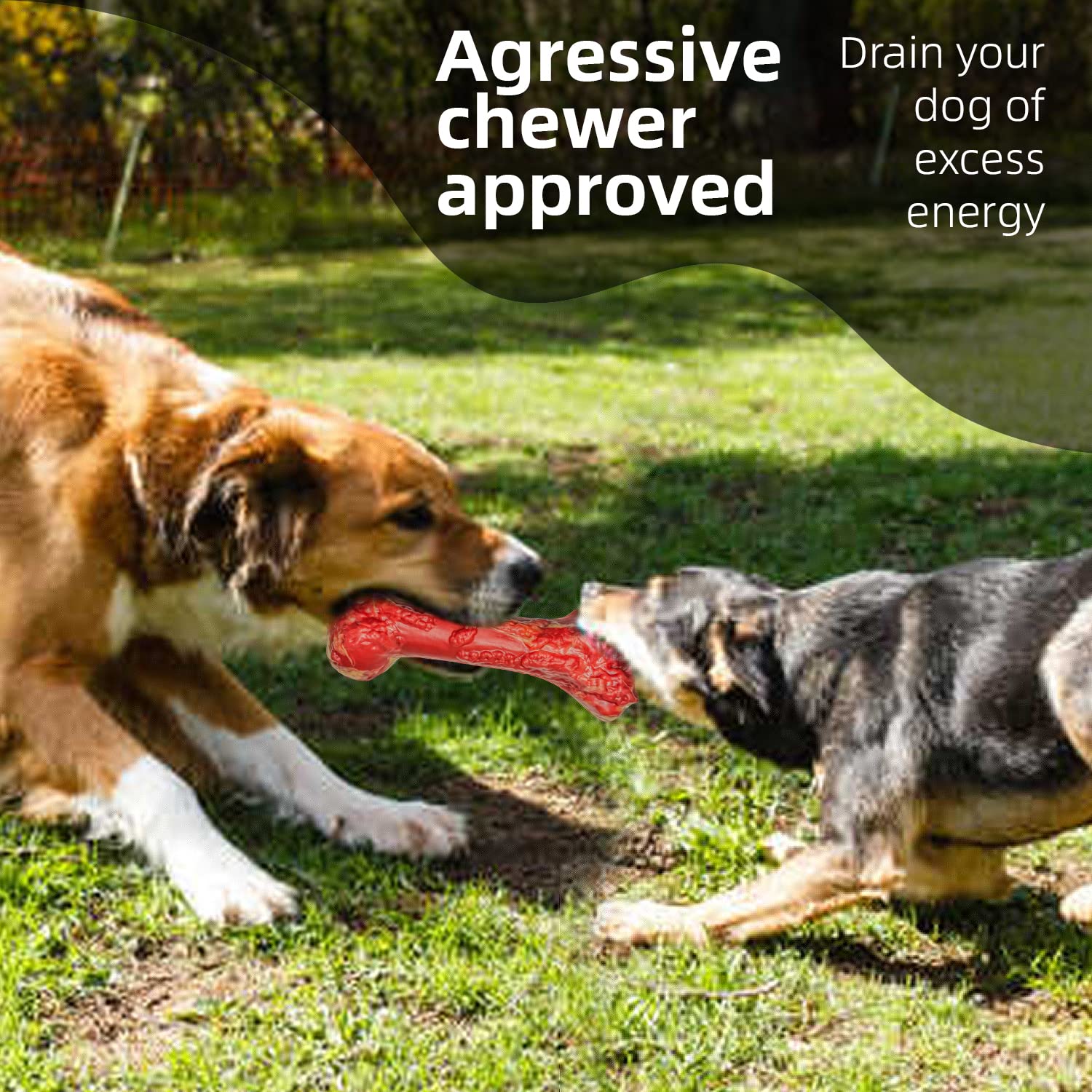 **Durable Beef-Flavored Rubber Chew Toy for Large & Aggressive Chewers – Interactive Dog Bone with Teeth Cleaning & Sound – USA-Made Dog Toy for Playtime & Training**    *(Perfect for teething puppies, strong chewers, and interactive play – keeps dogs engaged while promoting dental health!)*