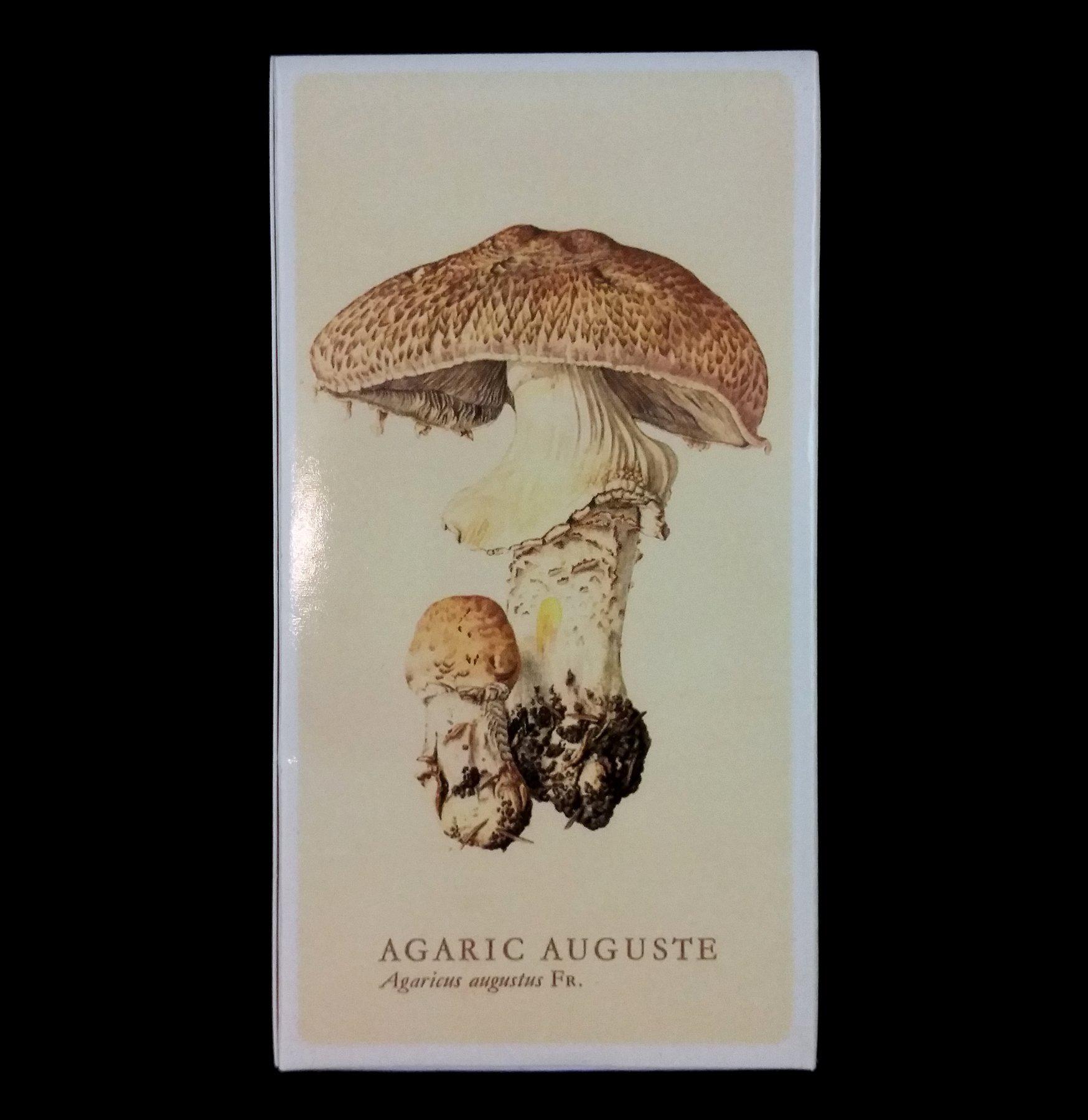 Premium Mushroom Matches - Waterproof & Windproof Survival Matches for Camping, Hiking, and Outdoor Adventures