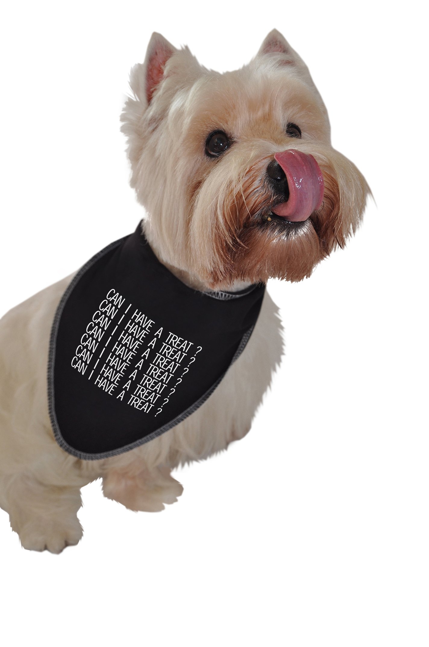 Small Black Dog Bandana with 'Can I Have a Treat?' Print - Cute Pet Accessory for Dogs, Puppies & Small Breeds - Perfect for Walks, Photos & Special Occasions