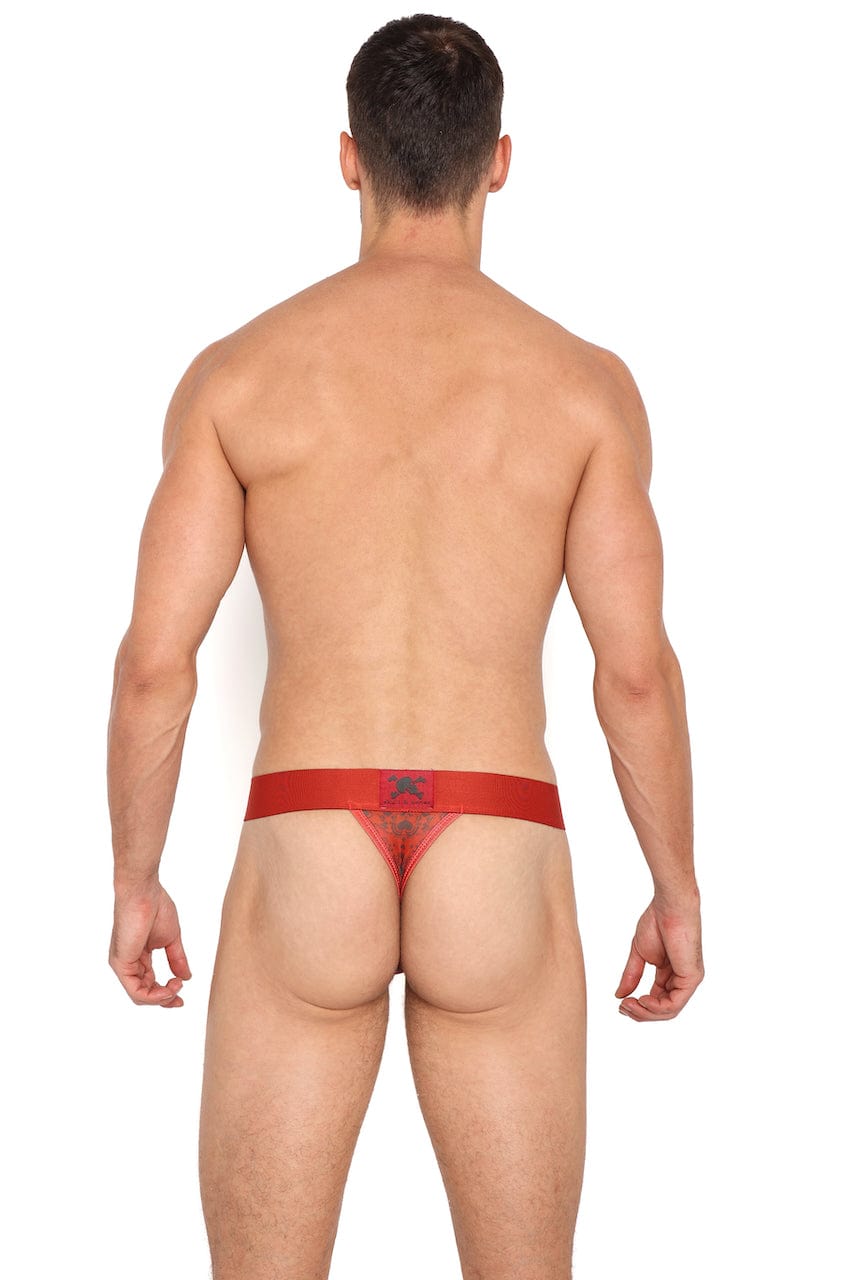 Red Heart Bandana Sheer Mesh Thong Panties - Sexy Lingerie for Valentine's Day, Date Night & Boudoir Photography