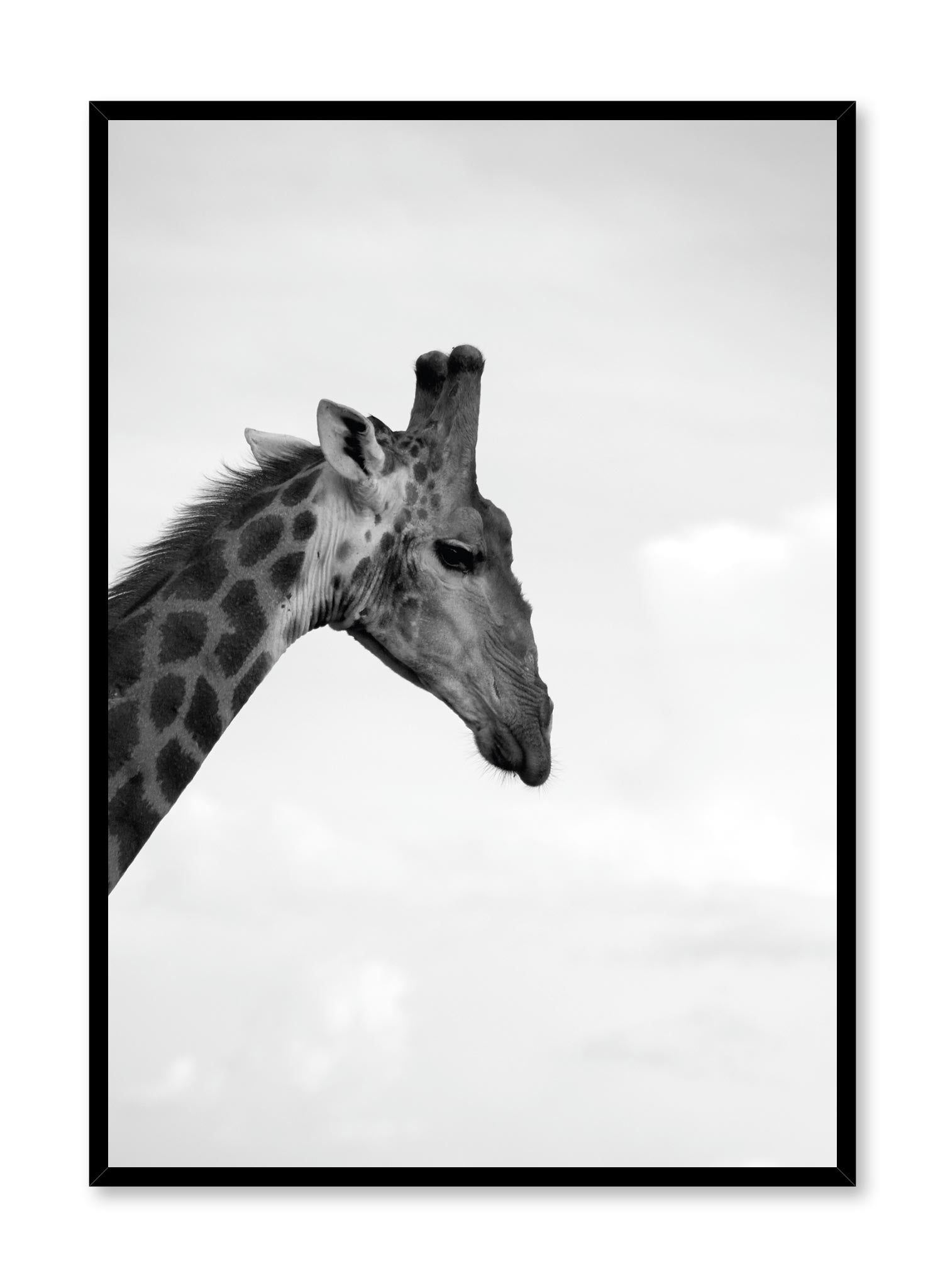 Wildlife Safari Poster - African Animal Wall Art Decor for Living Room, Bedroom & Office | Perfect for Home & Office Decor