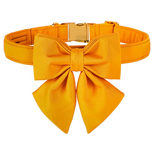 Mango yellow
