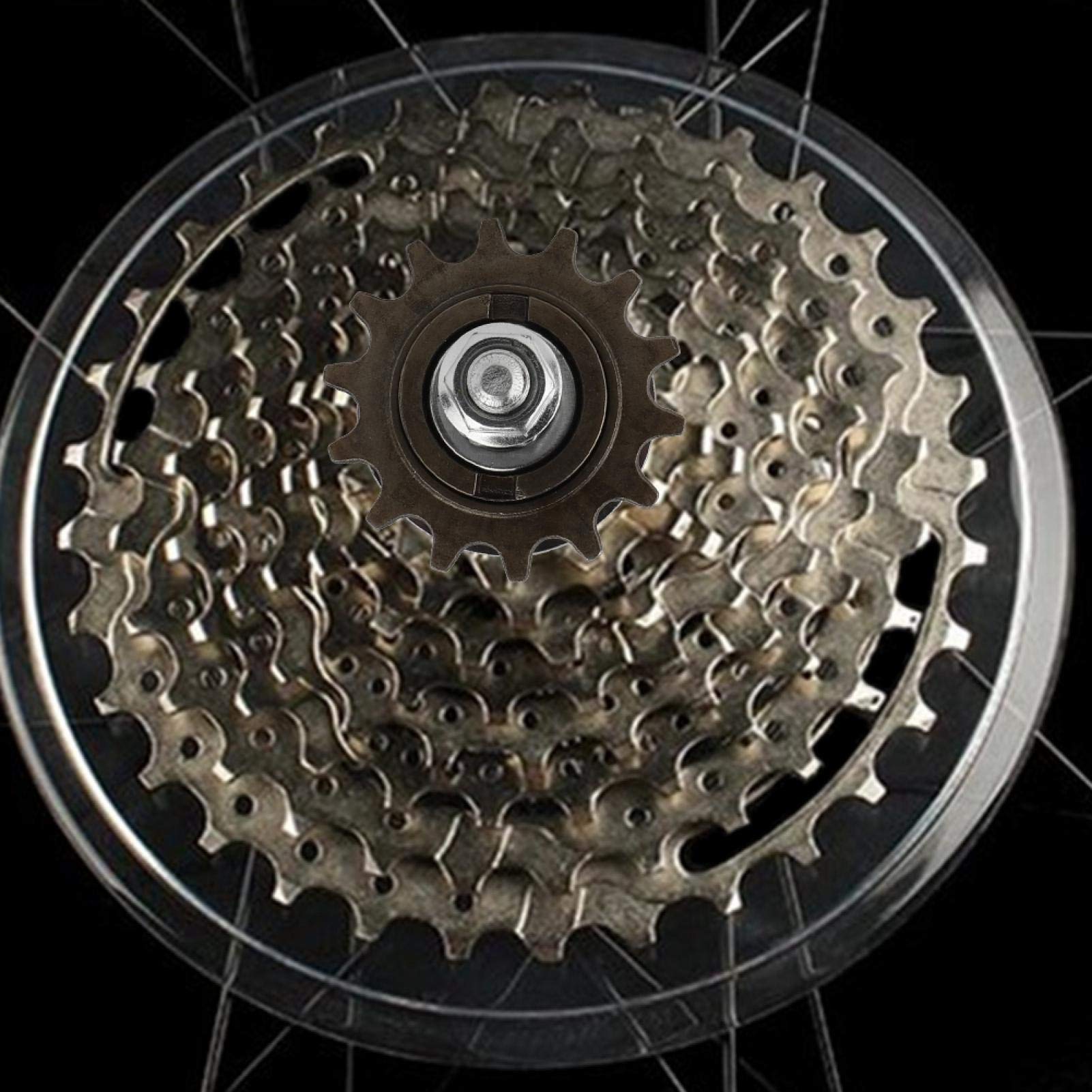 EVTSCAN Universal Bike Rear Wheel Hub Cassette - 36 Holes Replacement for Bicycle Wheels - Perfect for Mountain Bikes, Road Bikes & Commuter Cycling
