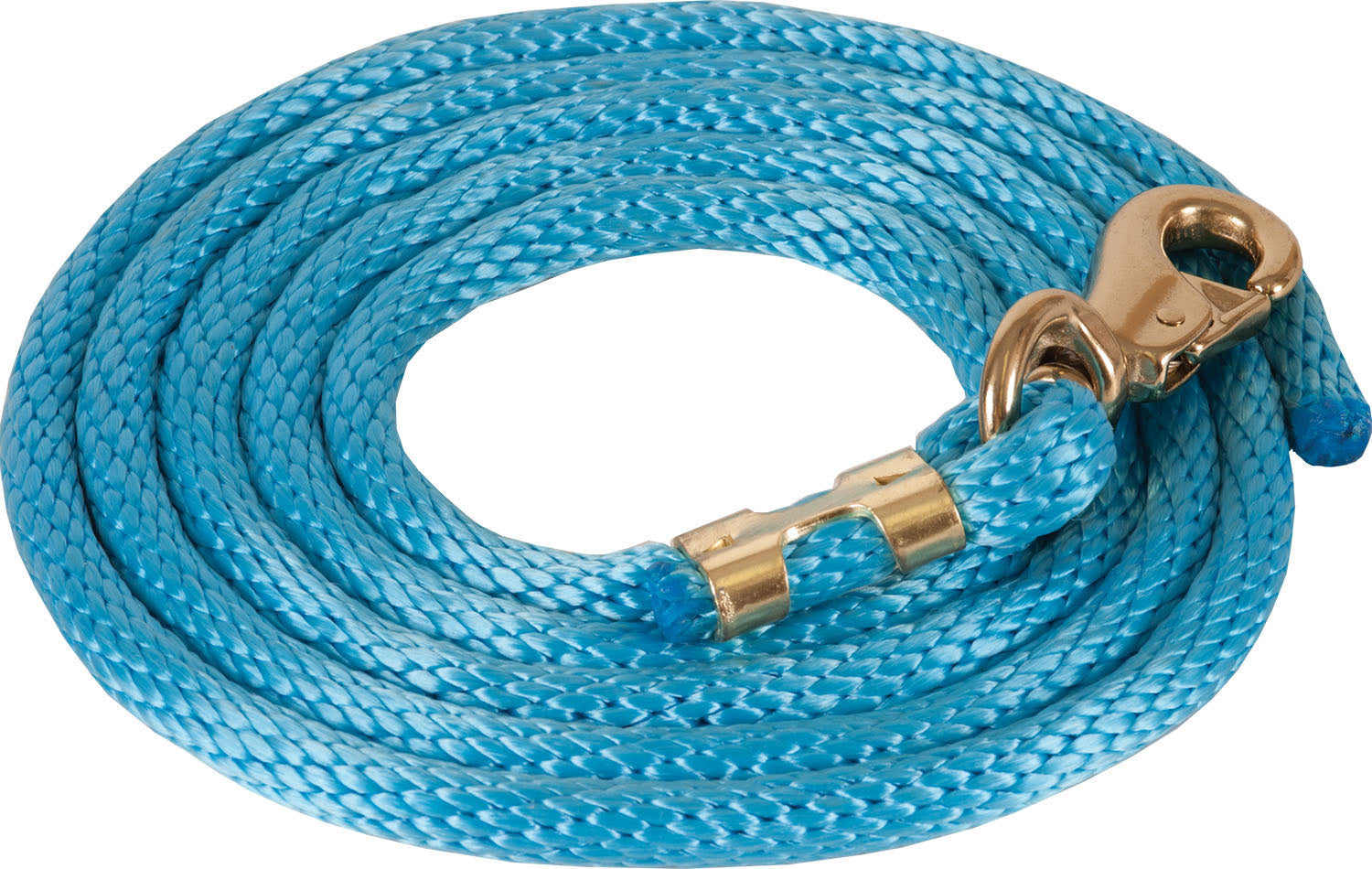9' Poly Lead Rope with Bull Snap - Durable Aqua Blue Dog Leash for Training, Walking & Outdoor Adventures