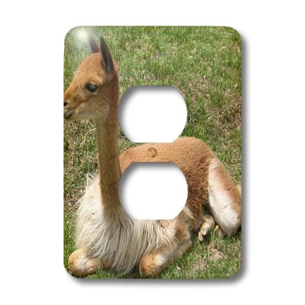 3D Rose Two Plug Outlet Cover with Llama Design - Peru Inspired Decorative Wall Plate for Home & Office Safety (2-Pack) - Perfect for Nursery, Kids Room, Dorm, and Travel Use