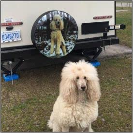 Custom Spare Tire Cover with Logo, Photo & Text - Personalized for Any Vehicle (255/70R18) | Choose Size & Backup Camera Option | Perfect for Jeeps, Trucks & SUVs - Off-Road & Camping Accessory