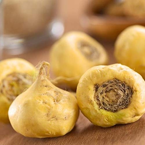 25 Organic Maca Root Seeds (Lepidium Meyenii) - Non-GMO, High Potency Peruvian Superfood for Energy & Vitality - Perfect for Home Gardening, Smoothies & Natural Health Boost