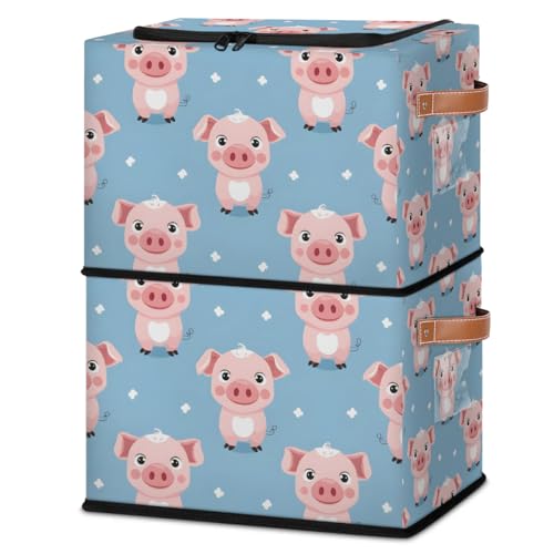Cute Pig