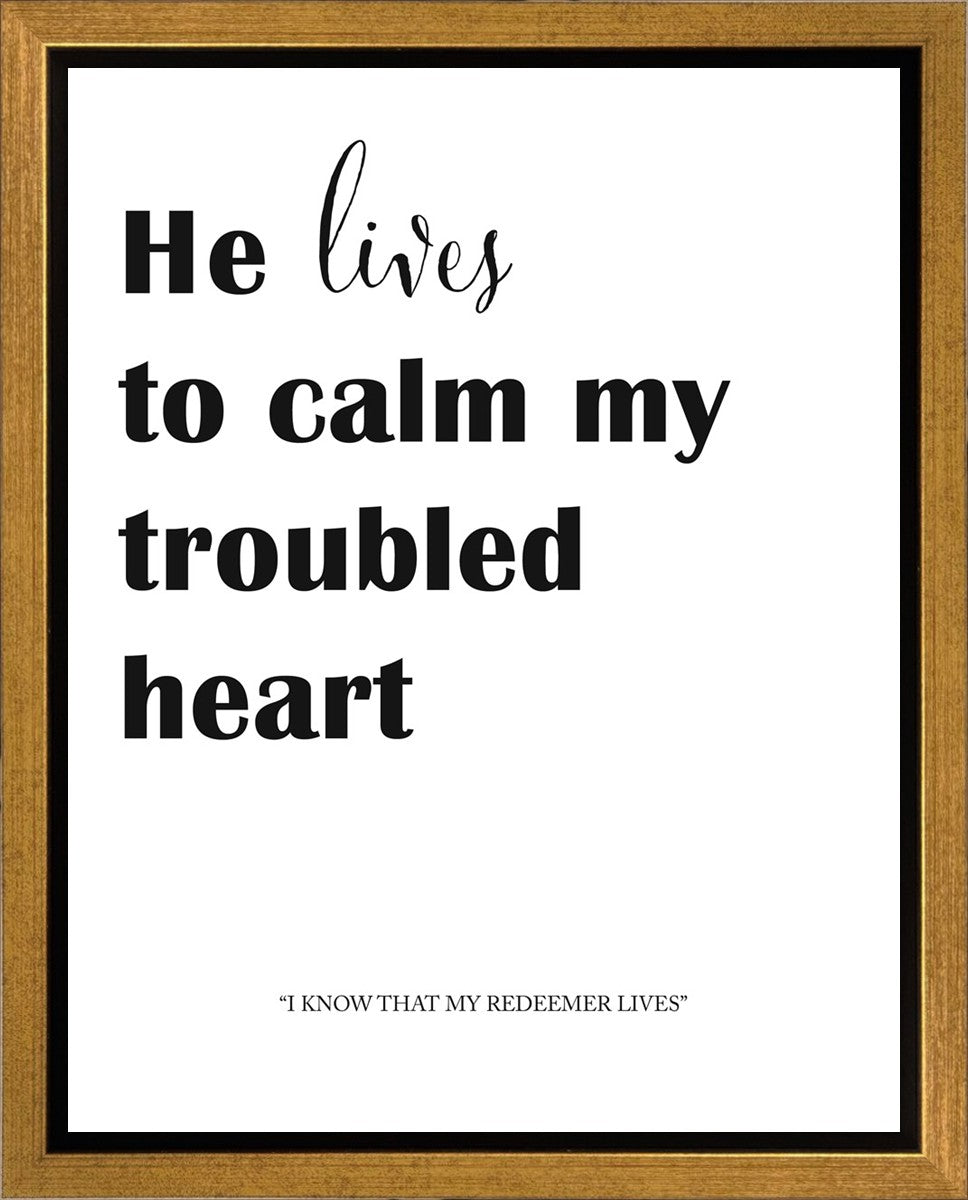 He Lives to Calm Gallery Wrap Canvas Art Print - Modern Abstract Wall Decor for Living Room, Bedroom & Office - Perfect for Home Decor & Gifting