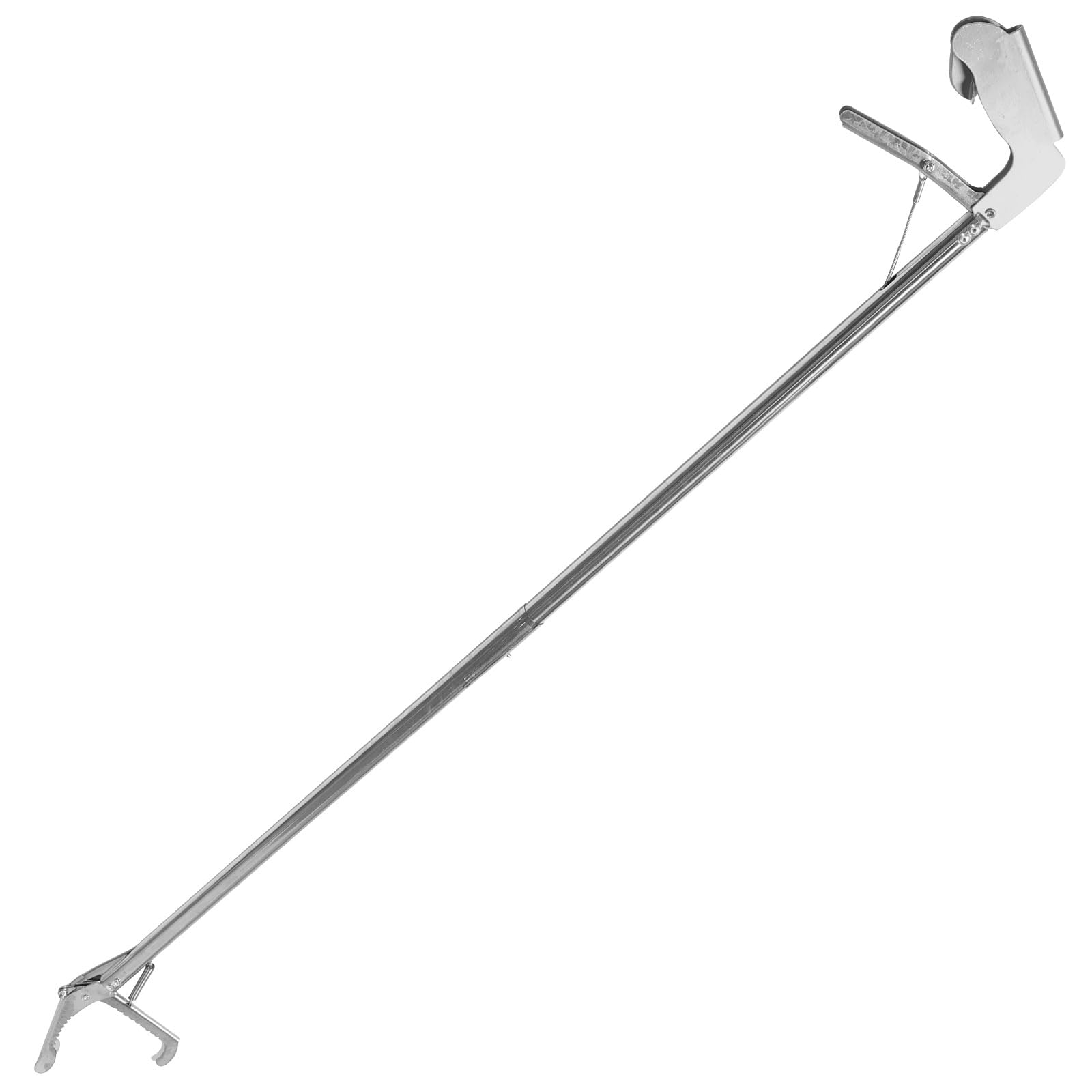 BESPORTBLE Stainless Steel Snake Capture Hook - Reptile Feeding Tool for Lizards, Crabs, and Snakes | Durable Garbage Collector & Grabber for Outdoor Hunting and Pet Care