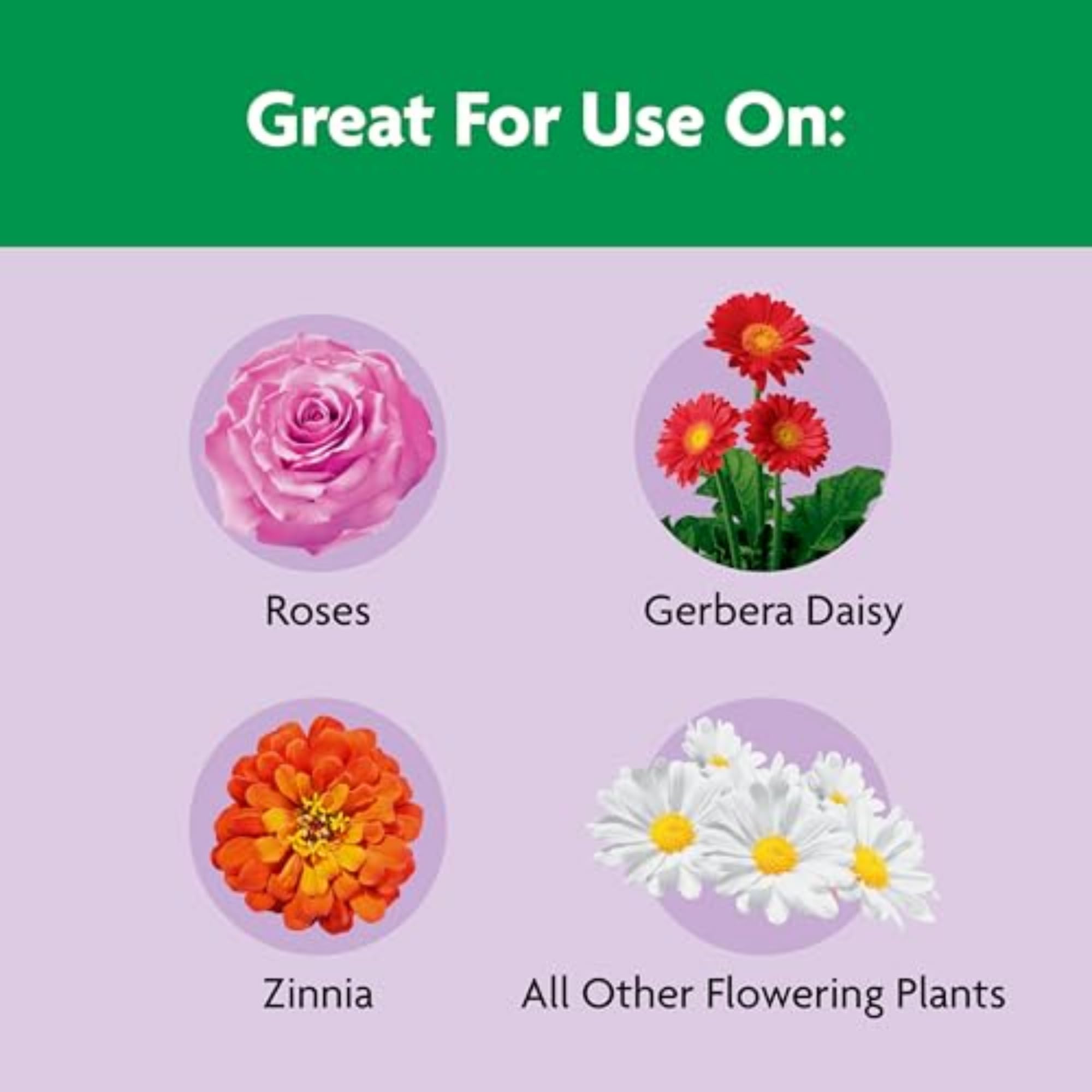 Miracle-Gro Shake 'N Feed Rose & Bloom Plant Food - All Purpose Flower Fertilizer for Roses, Flowers & Shrubs - Perfect for Garden Beds, Potted Plants & Outdoor Landscaping
