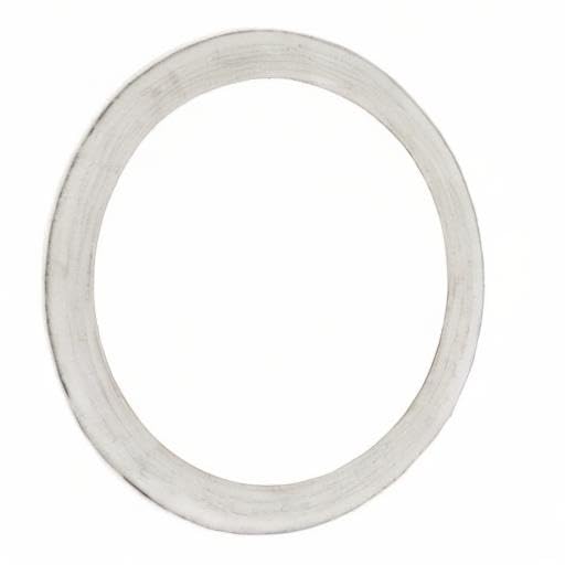 Victorio Food Strainer Screen Gasket - Premium Kitchen Strainer for Canning & Juicing