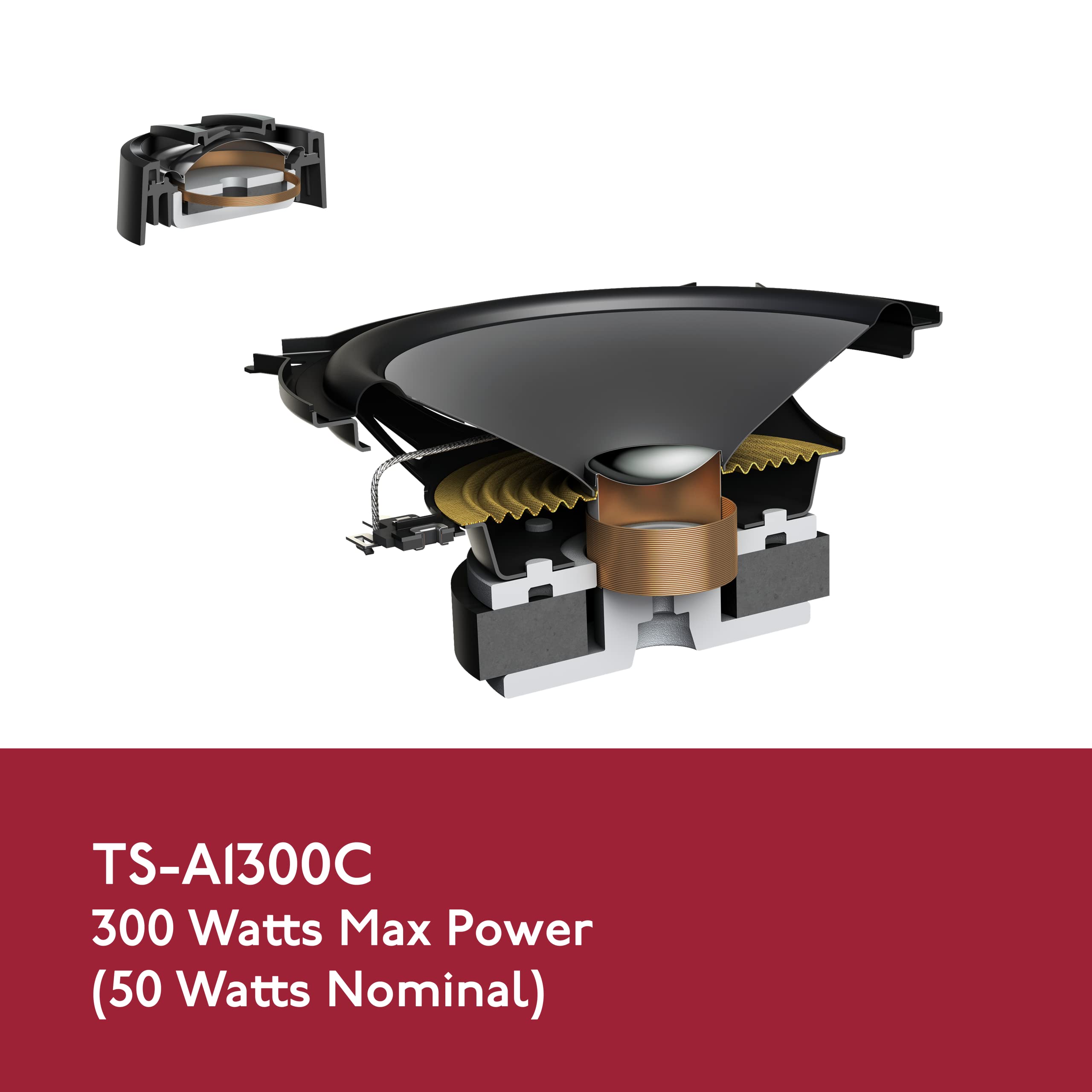 Pioneer TS-A1300C A Series 5-1/4