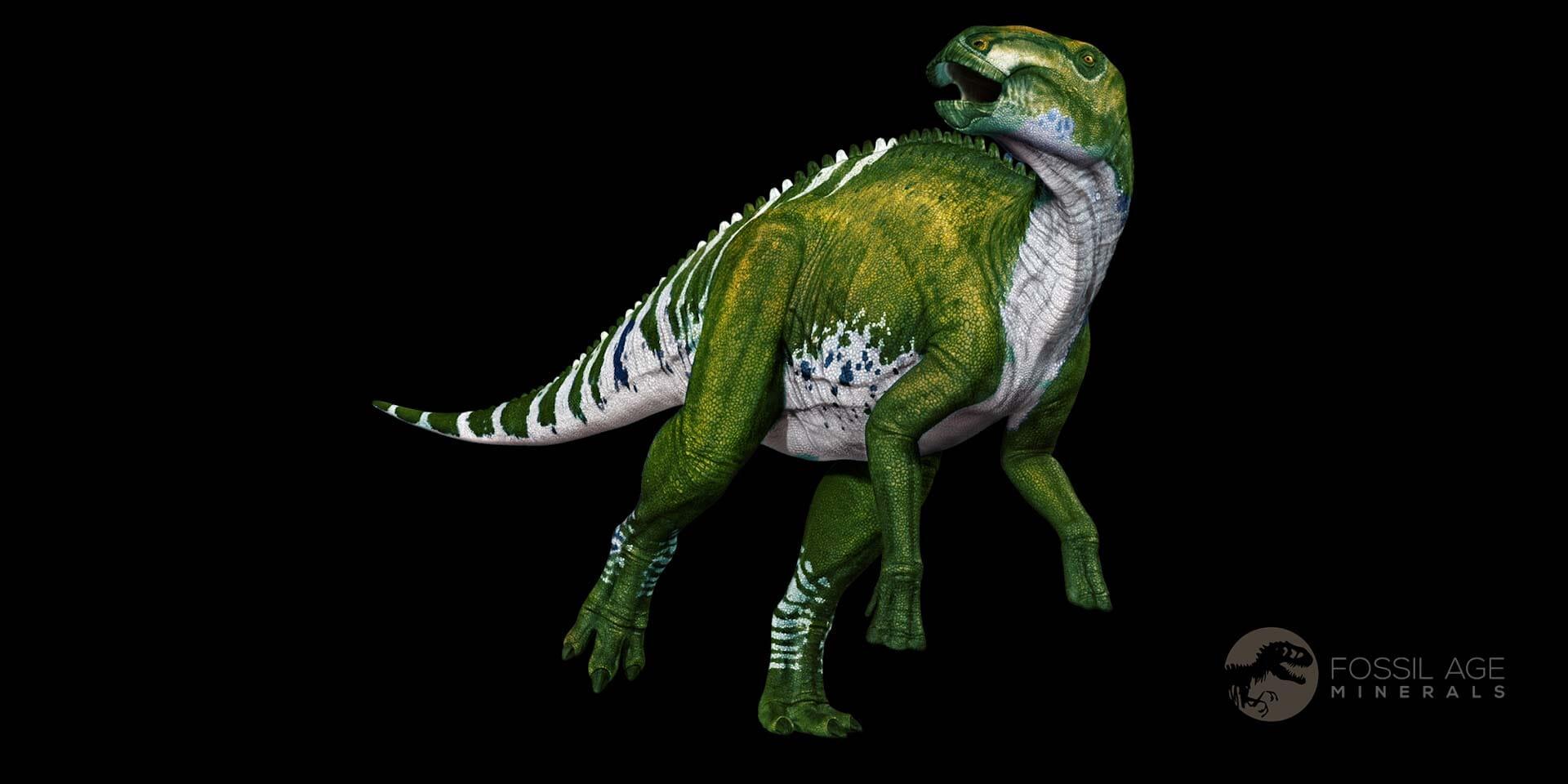 Authentic Gryposaurus Fossil Rib Bone - Duck-Billed Dinosaur Fossil from Judith River, Montana with COA | Rare Paleontology Specimen for Collectors, Museums & Educational Displays