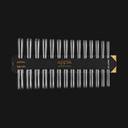Apres Gel X Nail Tips - Sculpted Coffin & Square XX Long Swatch Set for Professional Nail Art | Perfect for Salon, Home Manicures & Special Occasions