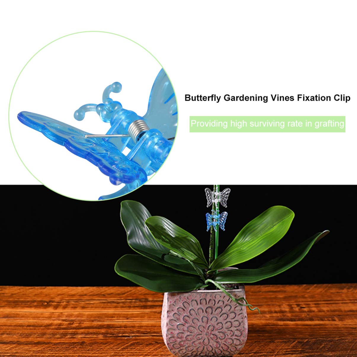 DOITOOL 30pcs Ladybug Shaped Garden Flower Clips - Plant Grafting Clamps, Vine Support Rings & Trellis Clips for Orchid Bonsai, Stem Support - Perfect for Indoor/Outdoor Gardening, Greenhouse & Plant Training