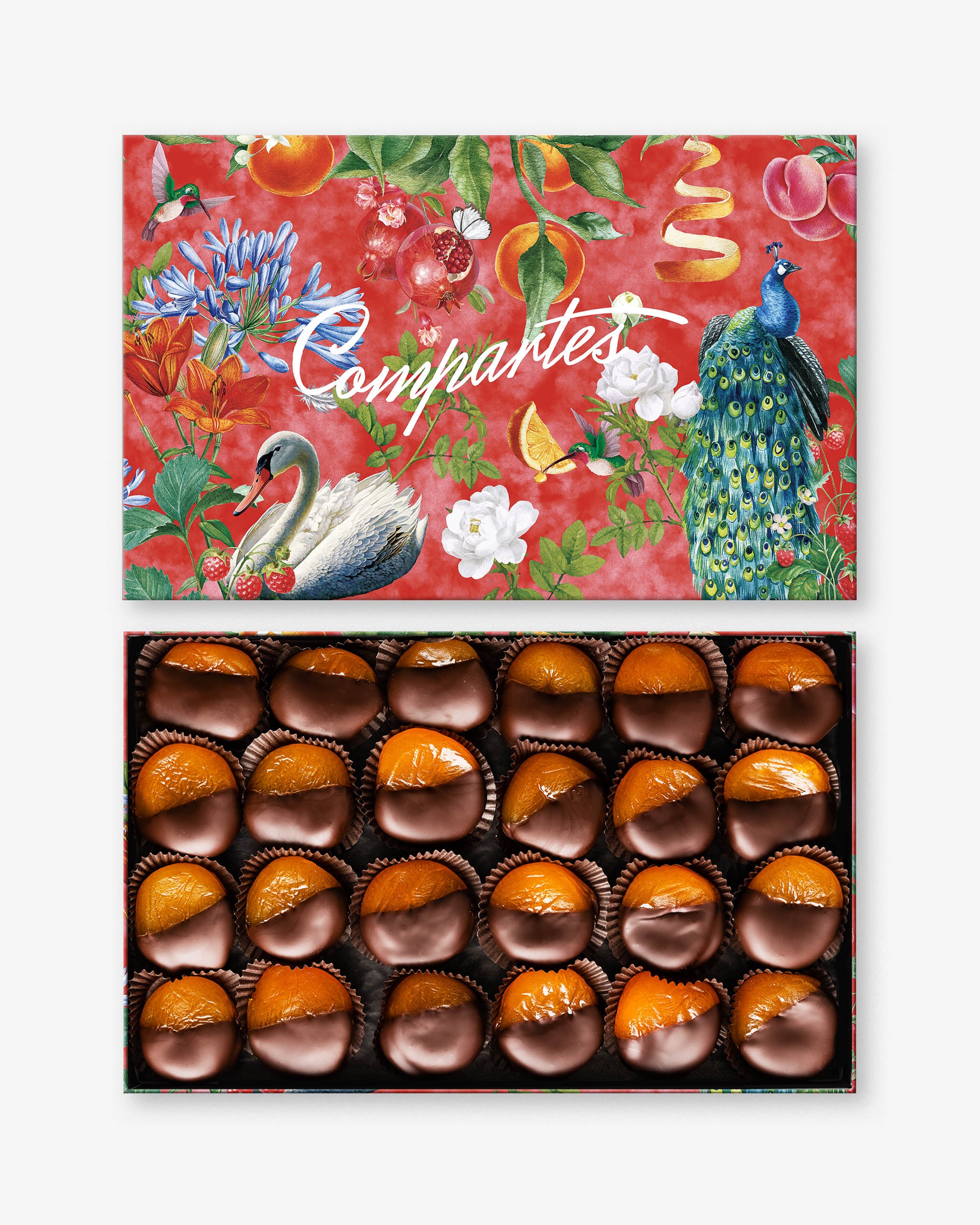 Premium Dark Chocolate Covered Apricots - Gourmet Dried Fruit Gift Box | Perfect for Valentine's Day, Holidays & Corporate Gifting