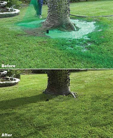 Hydro Mousse Bermuda Grass Seed - Large Refill Bag (1000 Sq Ft Coverage) - Fast-Growing Drought-Resistant Lawn Seed for Backyards, Golf Courses & Sports Fields
