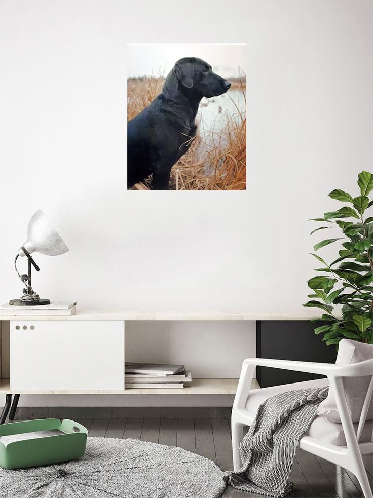 Black Labrador Hunting Dog Wall Art Print - 16x20 Inches Wildlife Decor Poster for Living Room, Office & Cabin