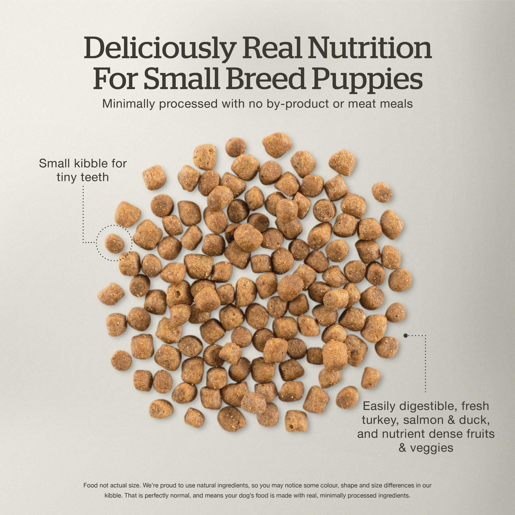 Now Fresh Grain-Free Dry Dog Food for Small Breeds - Turkey, Salmon & Duck Puppy Recipe with Real Meat & Fish - 3.5 lb Bag | Perfect for Growing Puppies & Active Small Dogs