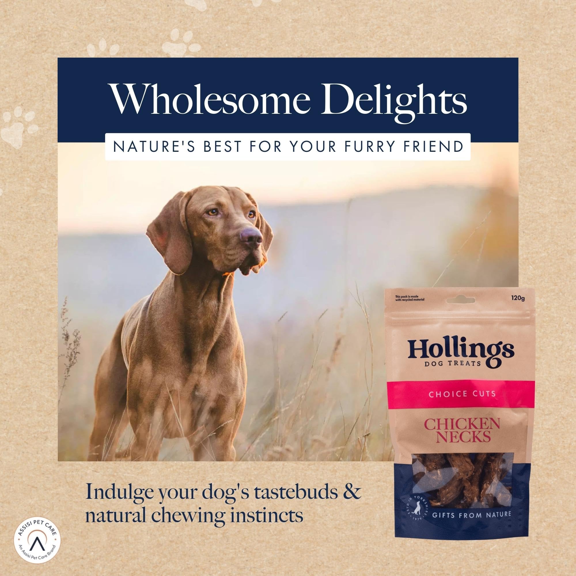 Hollings 100% Natural Air Dried Chicken Necks Dog Treats - Grain Free, High Protein Chews for Adult Dogs (120g) - Perfect for Training Rewards & Dental Health