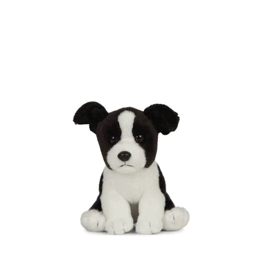 Adorable Border Collie Puppy 16cm Soft Plush Stuffed Animal Toy - Perfect for Kids Gifts, Nursery Decor, and Dog Lovers Collection