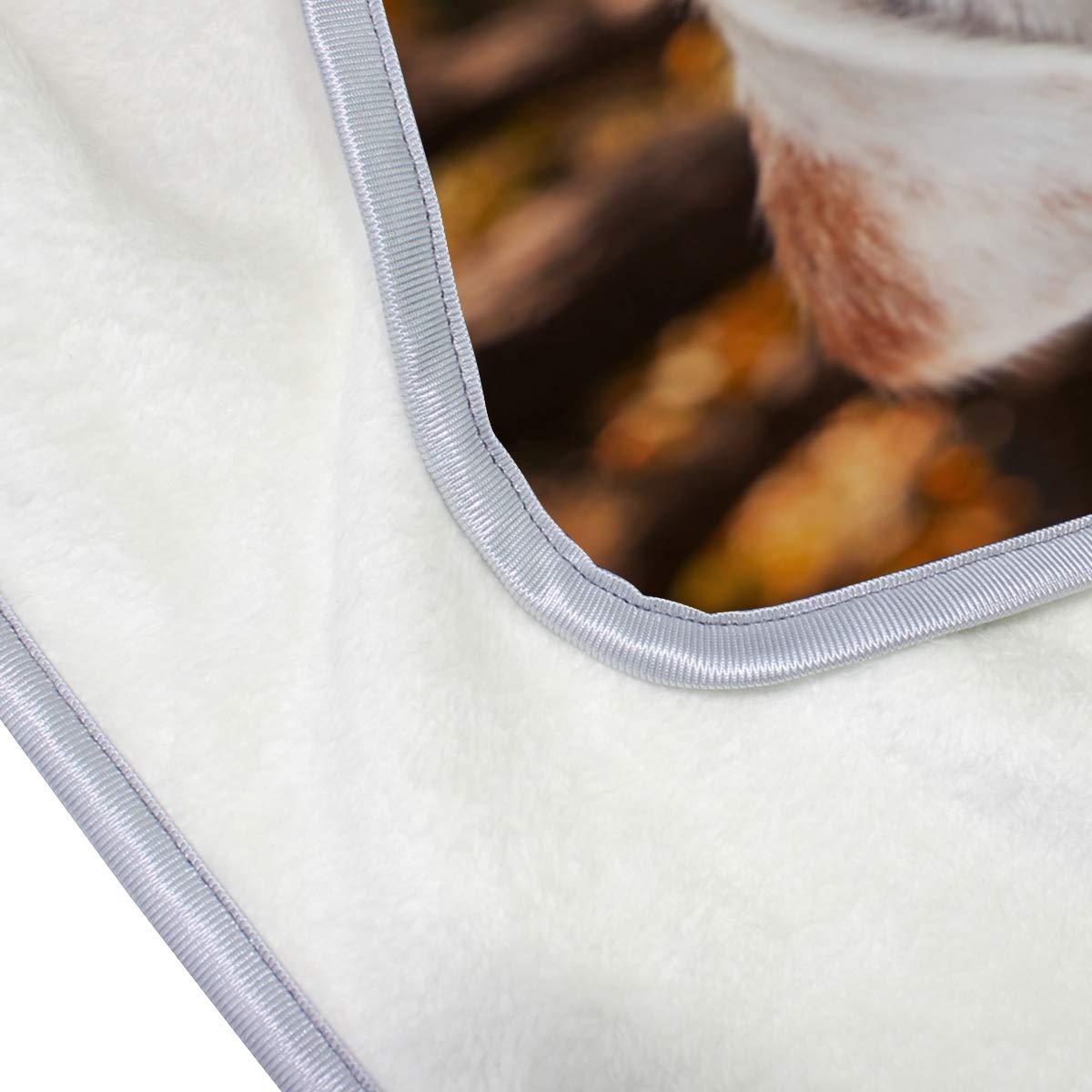 Parsons Jack Russell Terrier Dog Blanket - Soft Polyester Microfiber Pet Throw - 50x60 Inch Lightweight Couch & Bed Blanket for Dogs - Perfect for Sofa Lounging, Pet Napping & Home Decor
