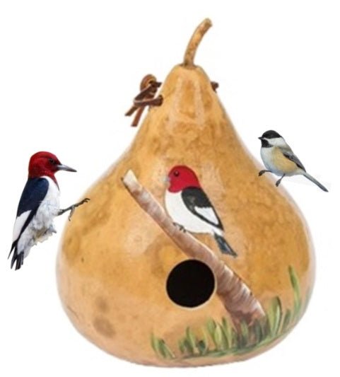 Amish Hand Painted Red Headed Woodpecker Bird House - Attract Beautiful Birds to Your Garden Backyard