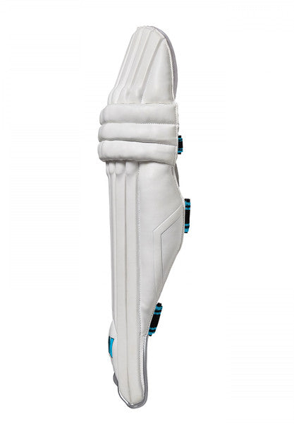 Premium GM Diamond Batting Pads - Cricket Leg Guards for Maximum Protection - Perfect for Practice & Match Play