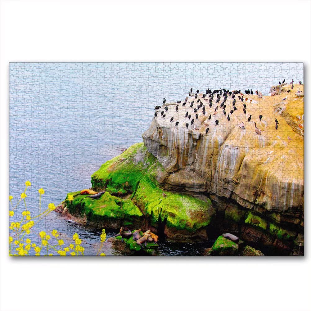 Premium 1000-Piece Wooden Jigsaw Puzzle for Adults - La Jolla Scenic Landscape - Challenging Brain Teaser & Relaxing Activity - Perfect Gift for Puzzle Lovers (Home Decor, Family Game Night, Stress Relief)