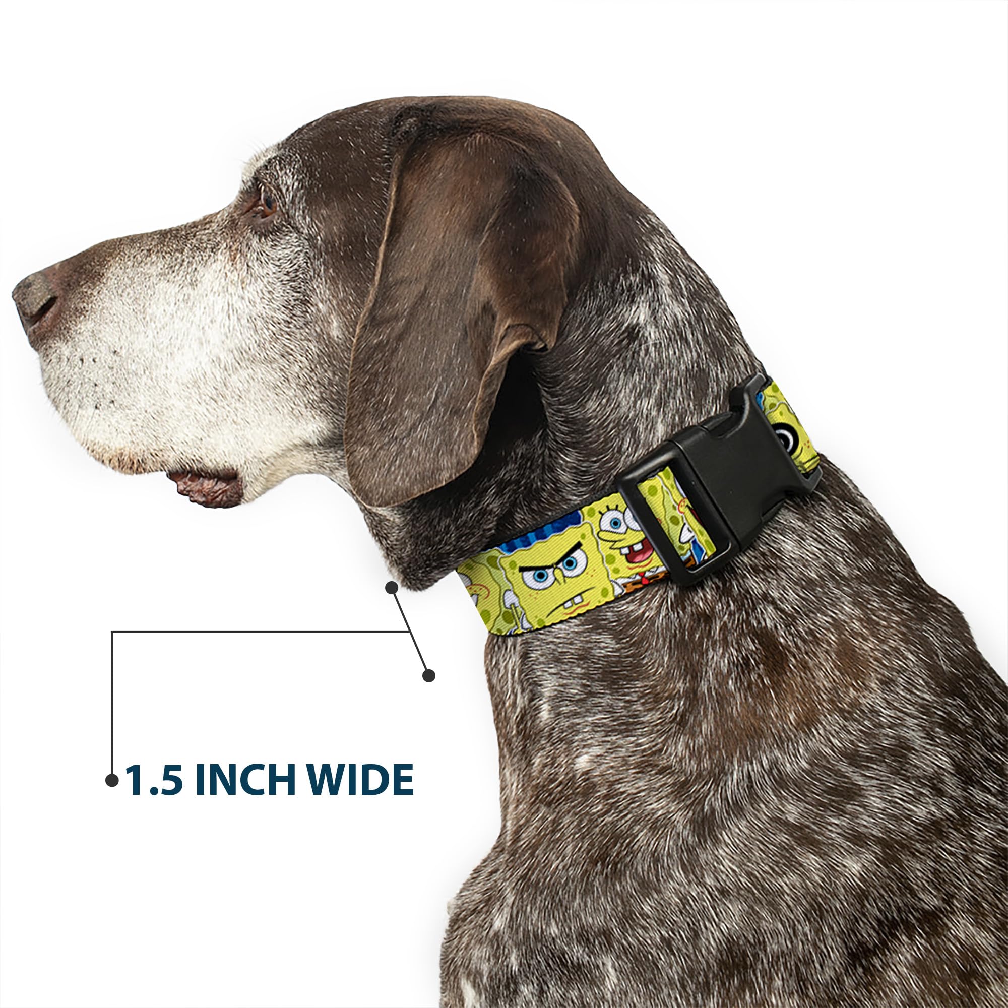 SpongeBob Dog Collar with Plastic Clip - Blue Striped Design, Adjustable 8-12 Inches, 0.5 Inch Wide - Perfect for Small to Medium Dogs, Costume Parties & Cartoon-Themed Pet Accessories
