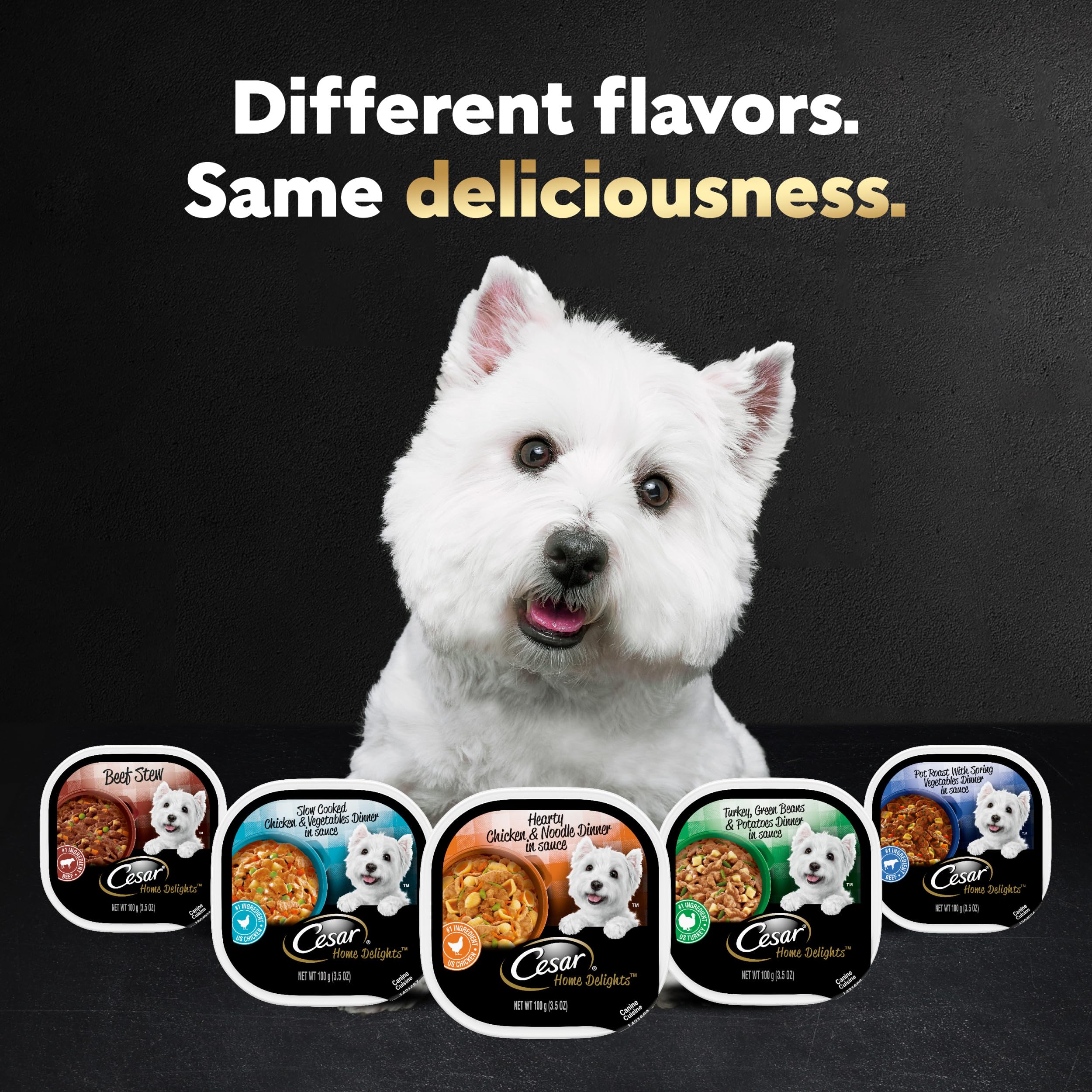 Premium CESAR HOME DELIGHTS Adult Wet Dog Food - Slow Cooked Chicken & Vegetables in Savory Sauce, 3.5 oz Easy-Peel Trays (Pack of 24) | Perfect for Mealtime, Training Rewards & Senior Dogs