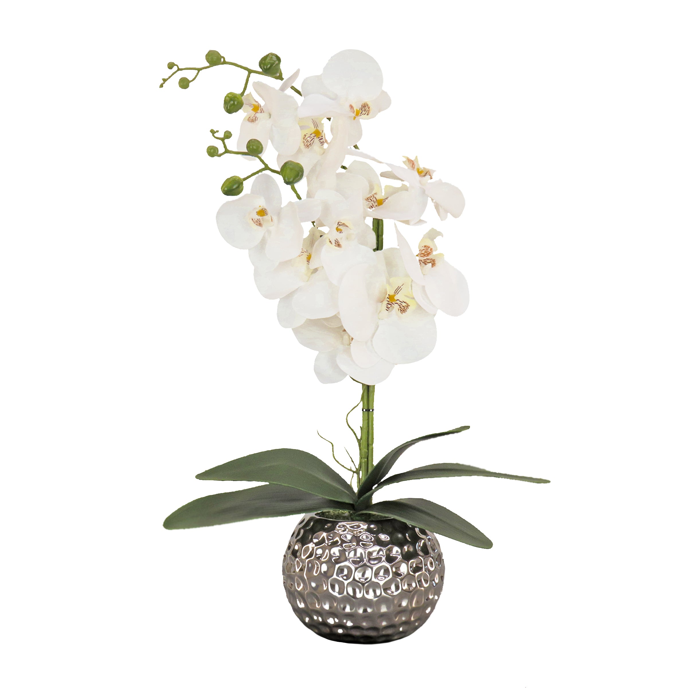 21 Inch Spring White Orchid in Silver Smooth Ceramic Pot - Elegant Home Decor for Living Room, Office & Wedding Centerpieces
