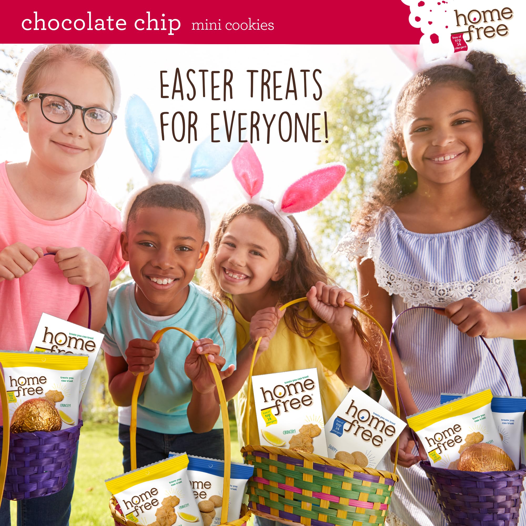 Gluten Free Mini Cookies - Chocolate Chip, 1.1oz Single Serve Pack of 64 | Homefree Trusted Snacks | Perfect for School Lunches, Office Snacks & On-the-Go Treats