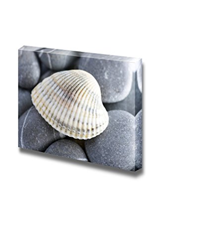 Starshell